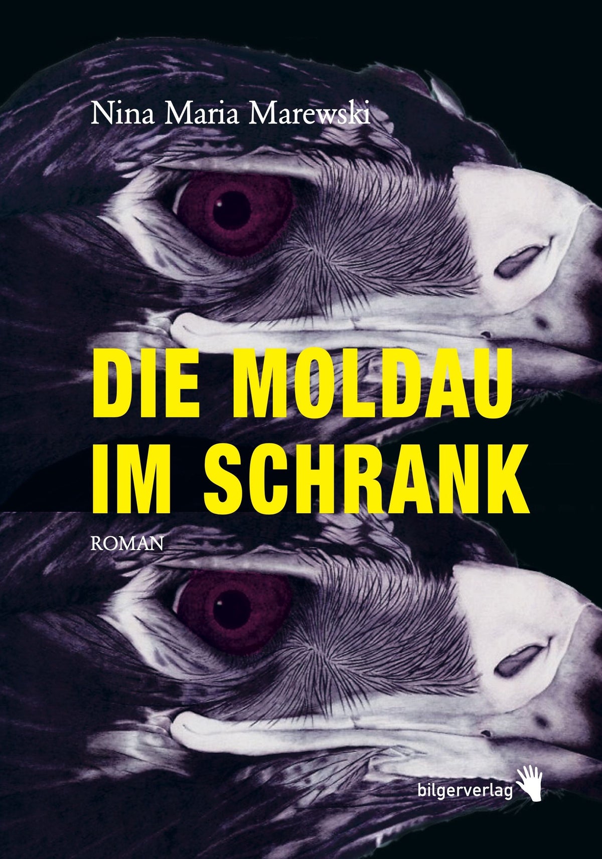 Die Moldau im Schrank