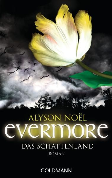 Evermore 3 - Das Schattenland