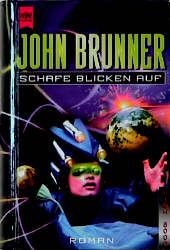 Schafe blicken auf
