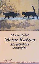 Meine Katzen