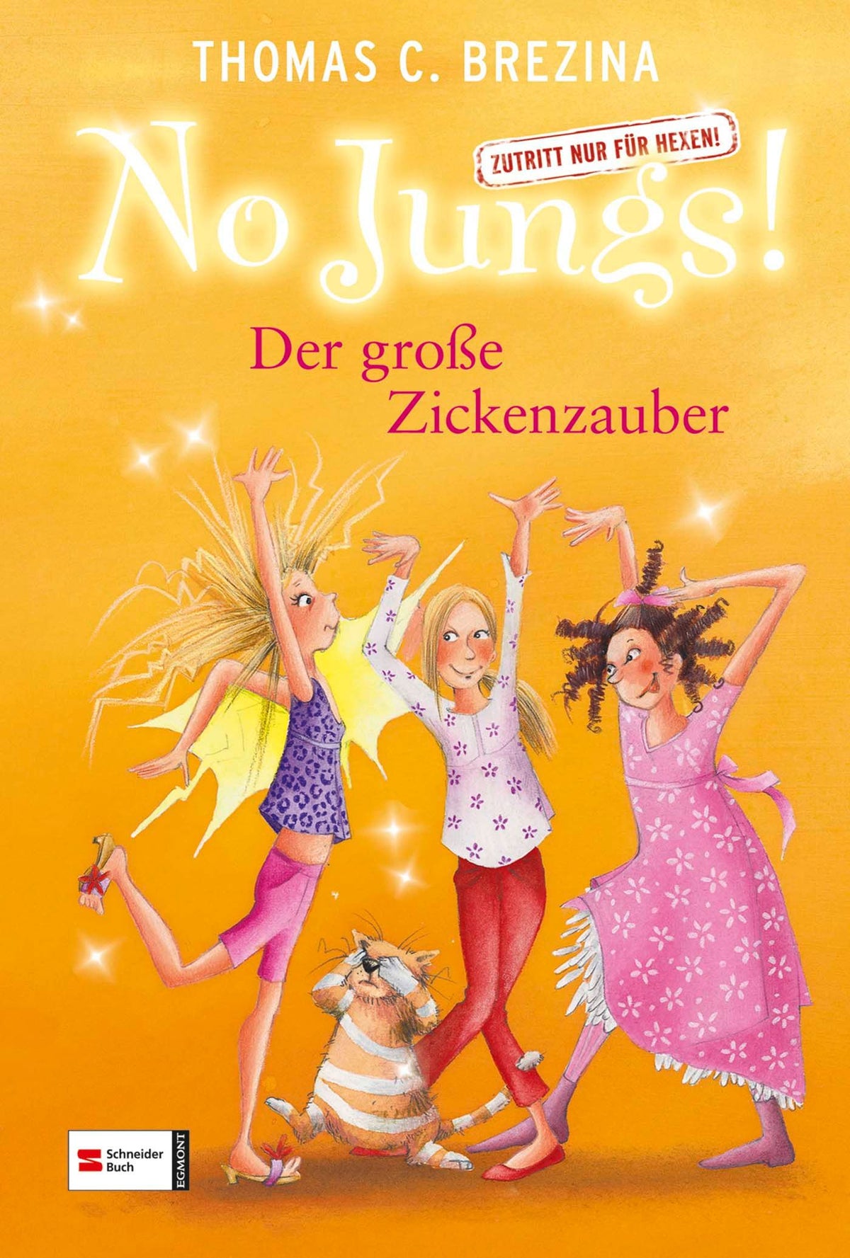No Jungs! Zutritt nur für Hexen, Band 19
