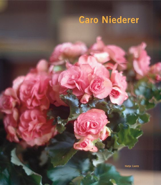 Caro Niederer