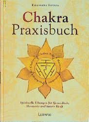 Das Chakra-Praxisbuch