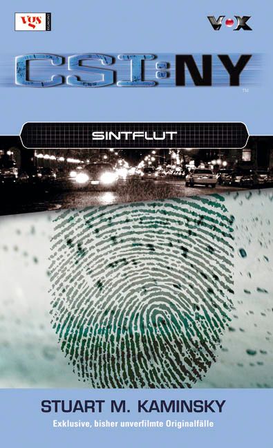 CSI NY 3